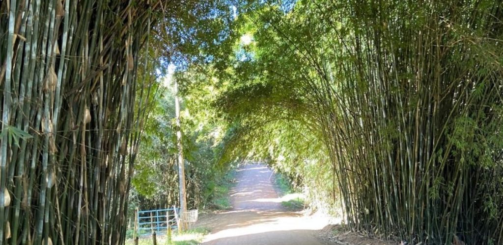 Design sem nome (24)