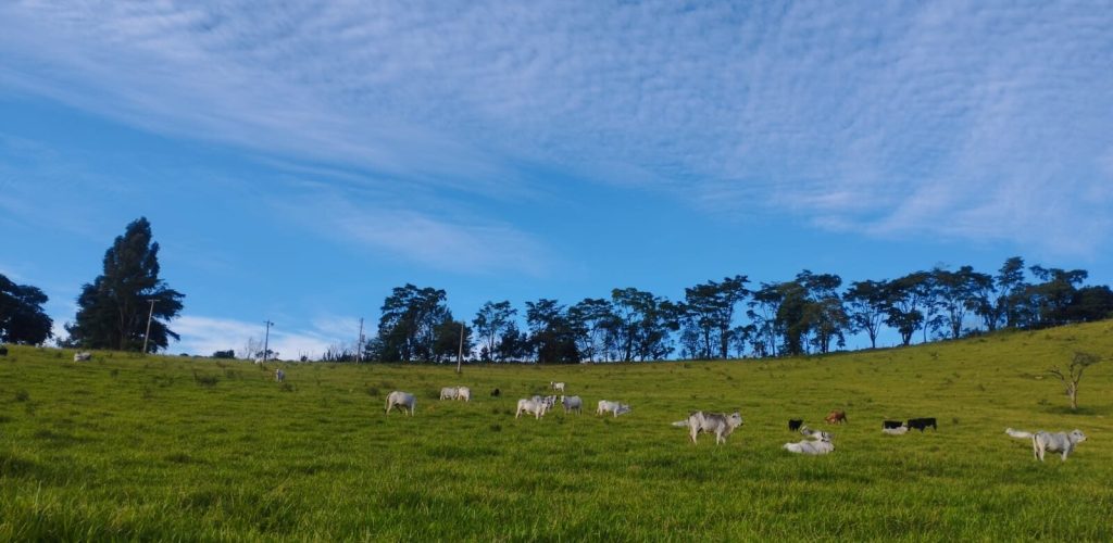 Imagem do WhatsApp de 2025-04-17 à(s) 16.41.33_3bf5460e